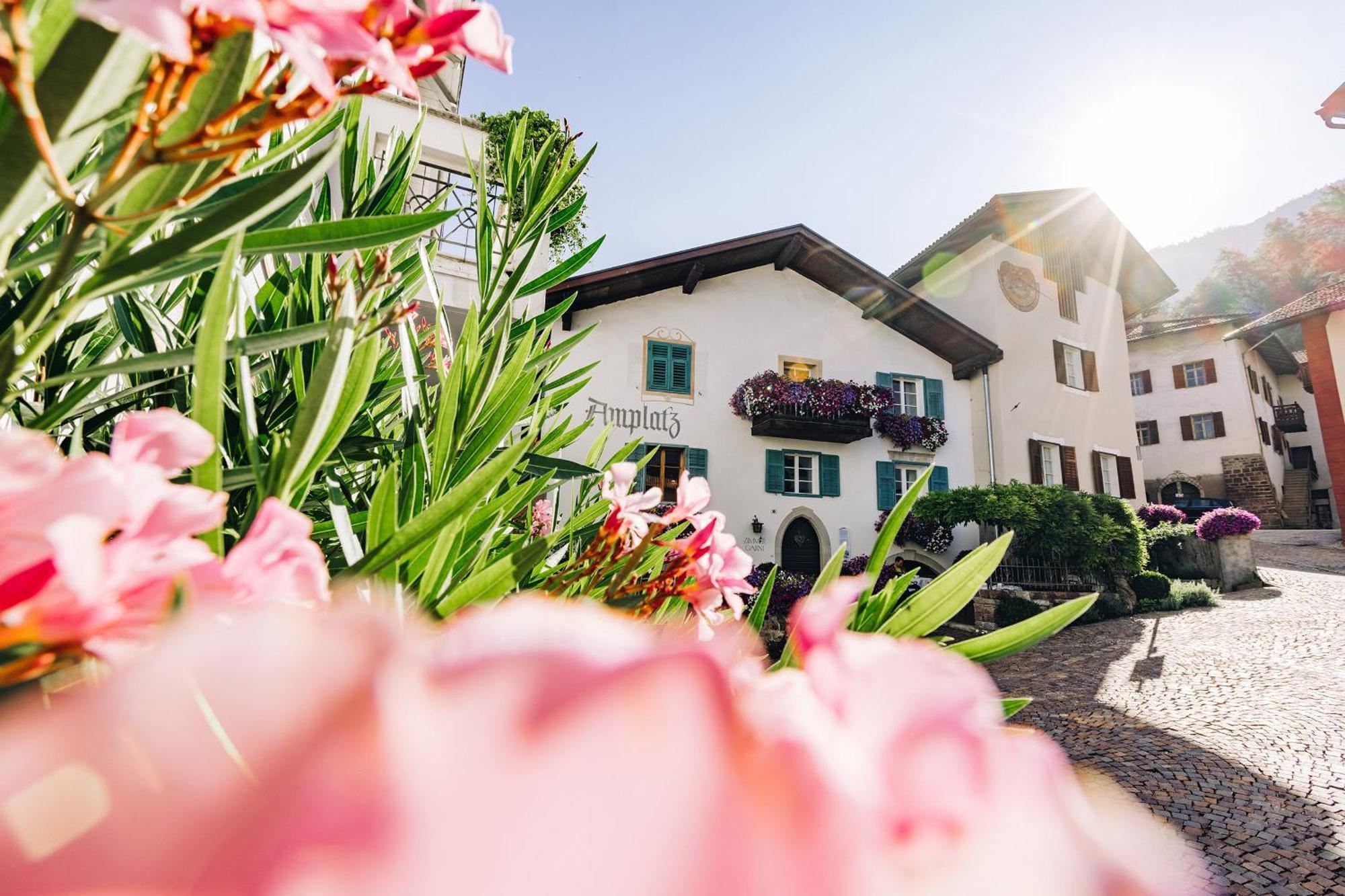 Amplatz 1523 - B&B And Suites Montagna Zewnętrze zdjęcie